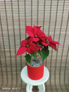 آموزش گل و گیاه در گلخانه